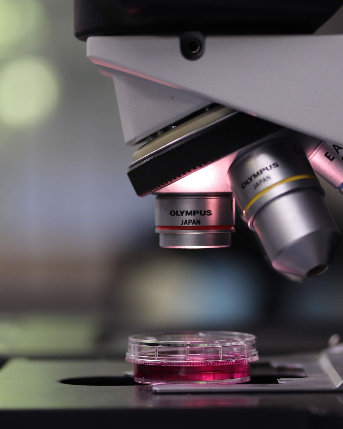 Cell and gene therapy technologies at Theertha Biopharma