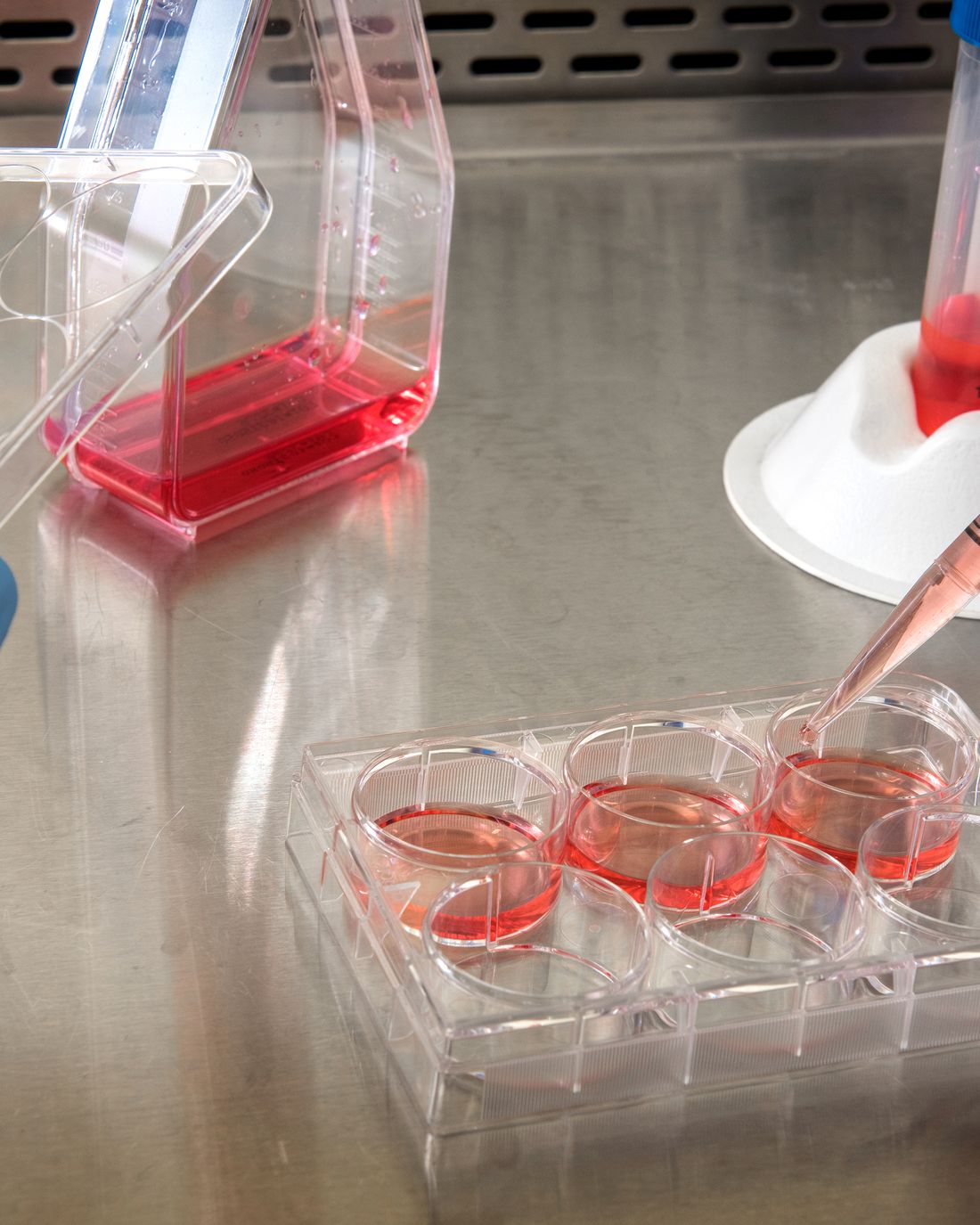 Biosimilar antibody development at Theertha Biopharma